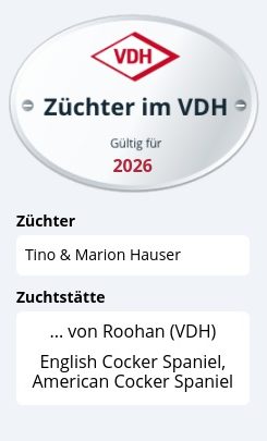 Züchterprofil für Tino & Marion Hauser, English und American Cocker Spaniel, gültig 2025.